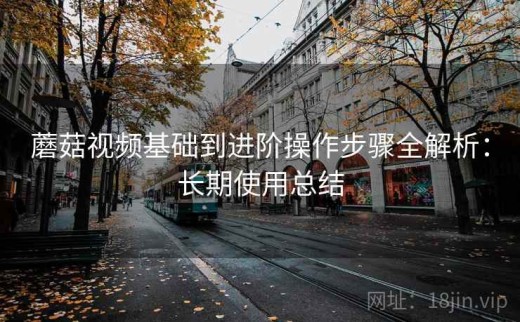 蘑菇视频基础到进阶操作步骤全解析：长期使用总结