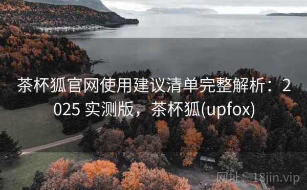 茶杯狐官网使用建议清单完整解析：2025 实测版，茶杯狐(upfox)