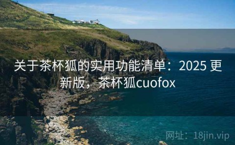 关于茶杯狐的实用功能清单：2025 更新版，茶杯狐cuofox