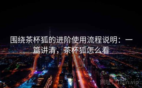 围绕茶杯狐的进阶使用流程说明：一篇讲清，茶杯狐怎么看