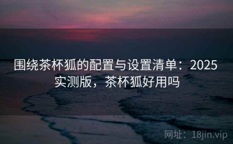 围绕茶杯狐的配置与设置清单：2025 实测版，茶杯狐好用吗