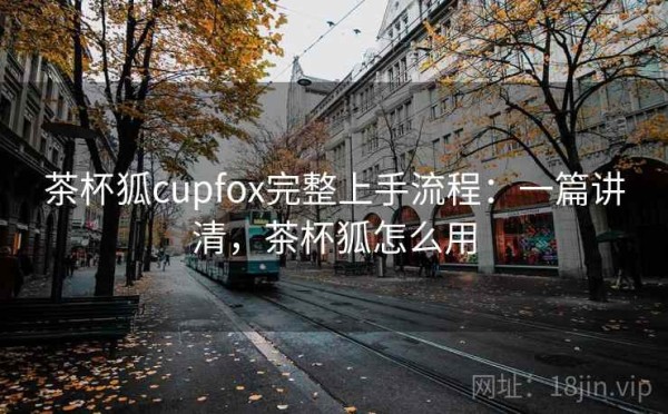 茶杯狐cupfox完整上手流程：一篇讲清，茶杯狐怎么用