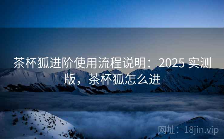 茶杯狐进阶使用流程说明：2025 实测版，茶杯狐怎么进